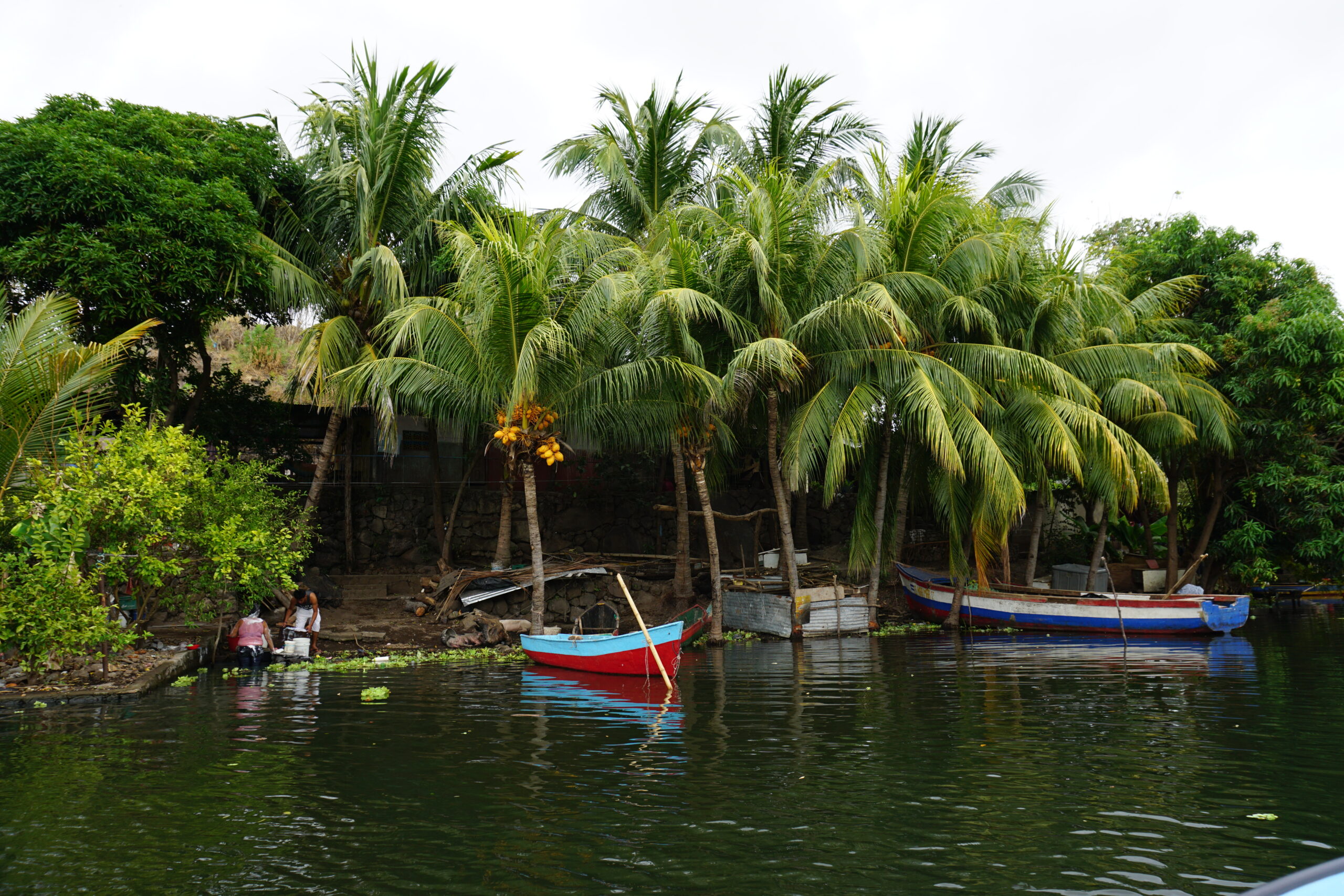Coconut Realtors – discover jungle – Nicaragua