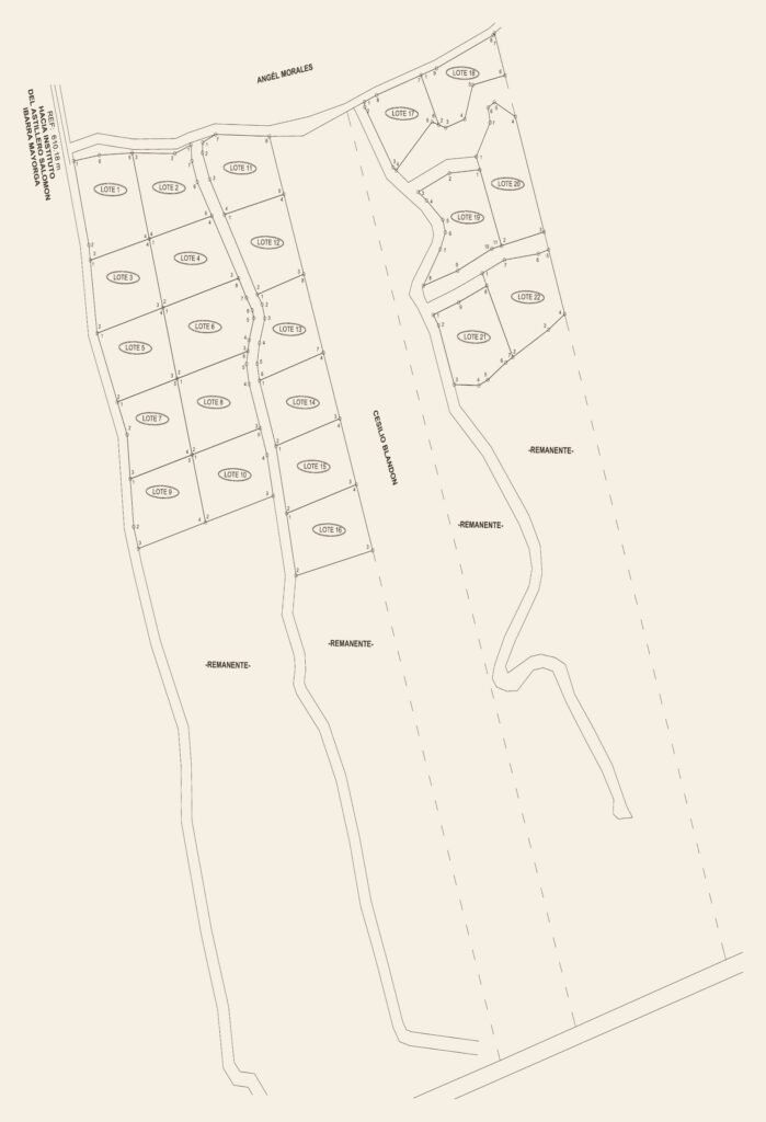 Astillero Views master plan – survey plan of lots 1 to 22