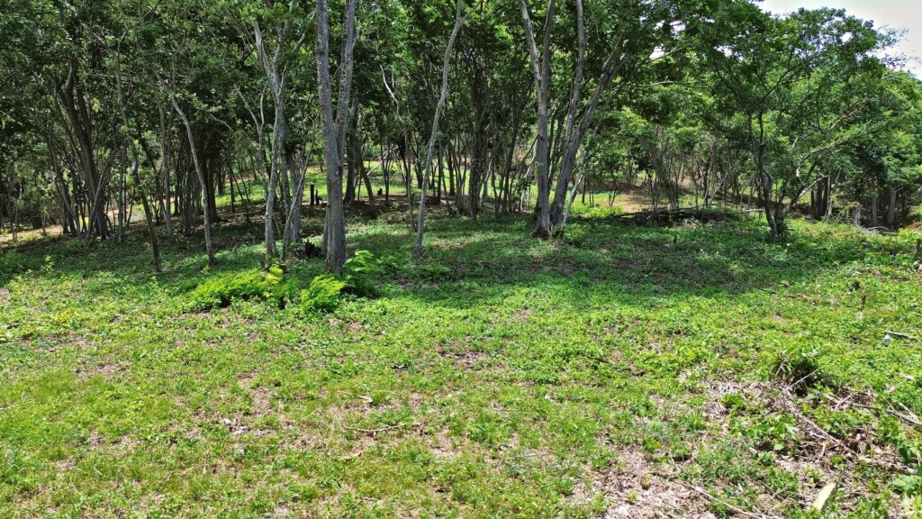 Cleared lot at VIDA at Yankee Beach under the trees