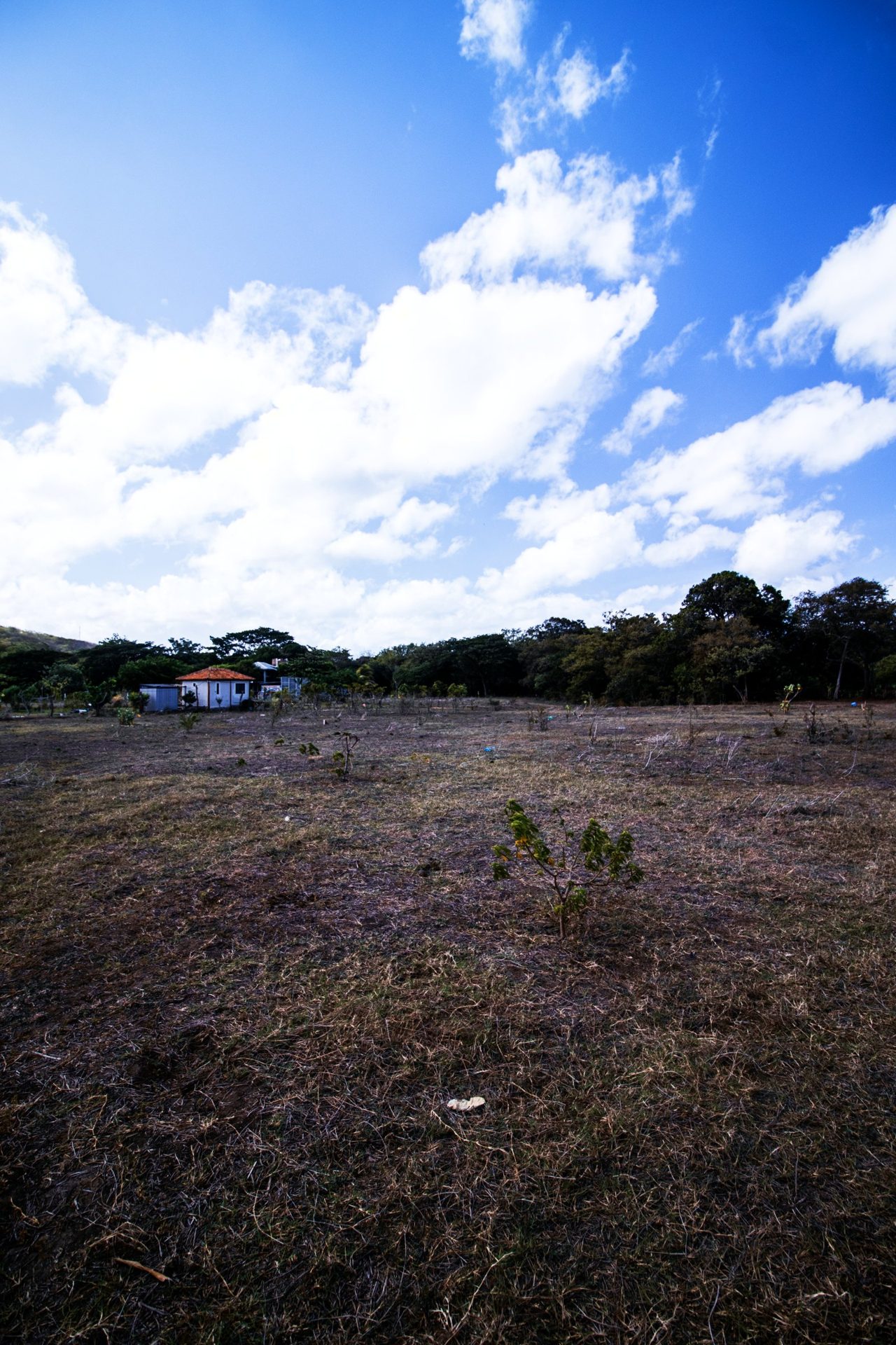 Playa jiquiliste lots land sky